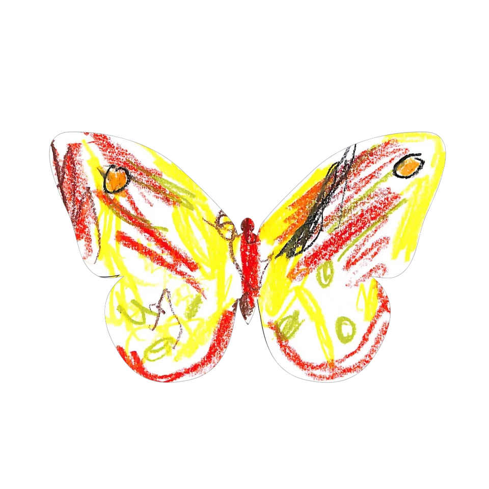 Original Butterfly Image