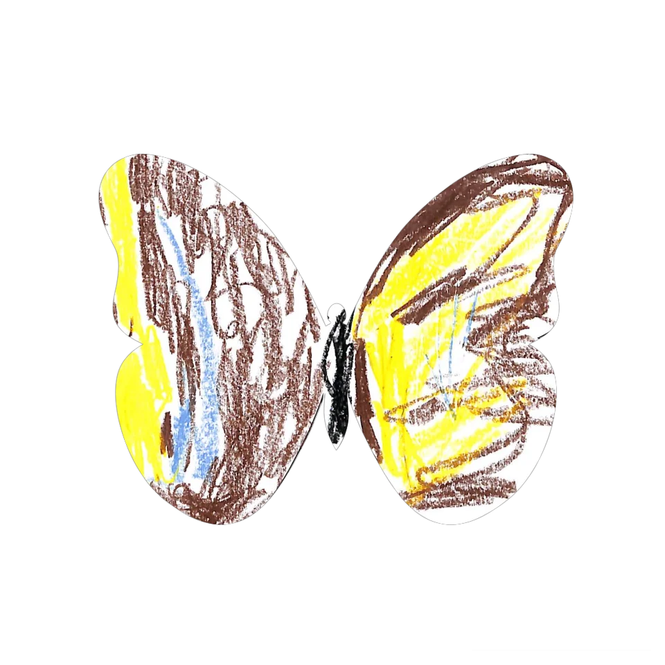 Original Butterfly Image