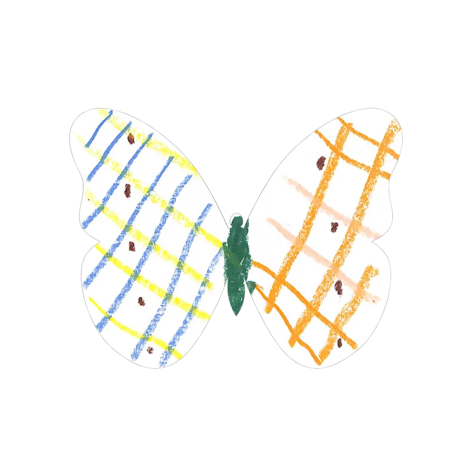 Original Butterfly Image