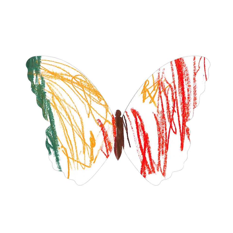 Original Butterfly Image