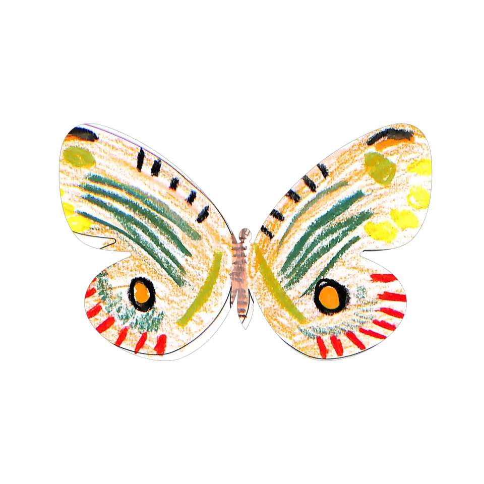 Original Butterfly Image