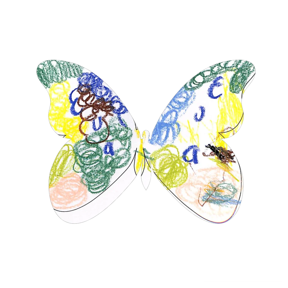 Original Butterfly Image