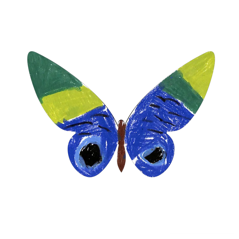 Original Butterfly Image