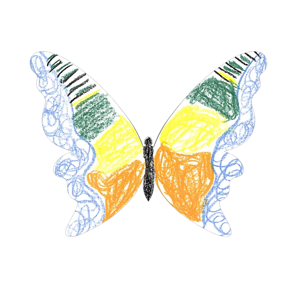 Original Butterfly Image