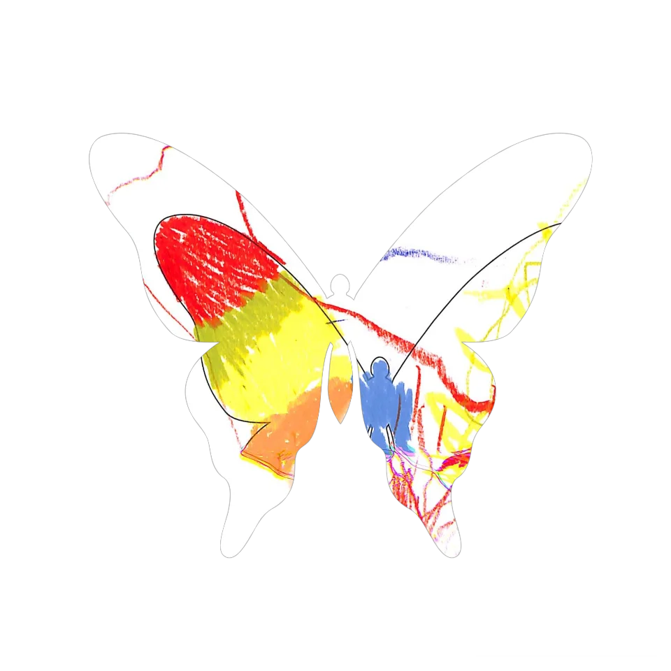 Original Butterfly Image