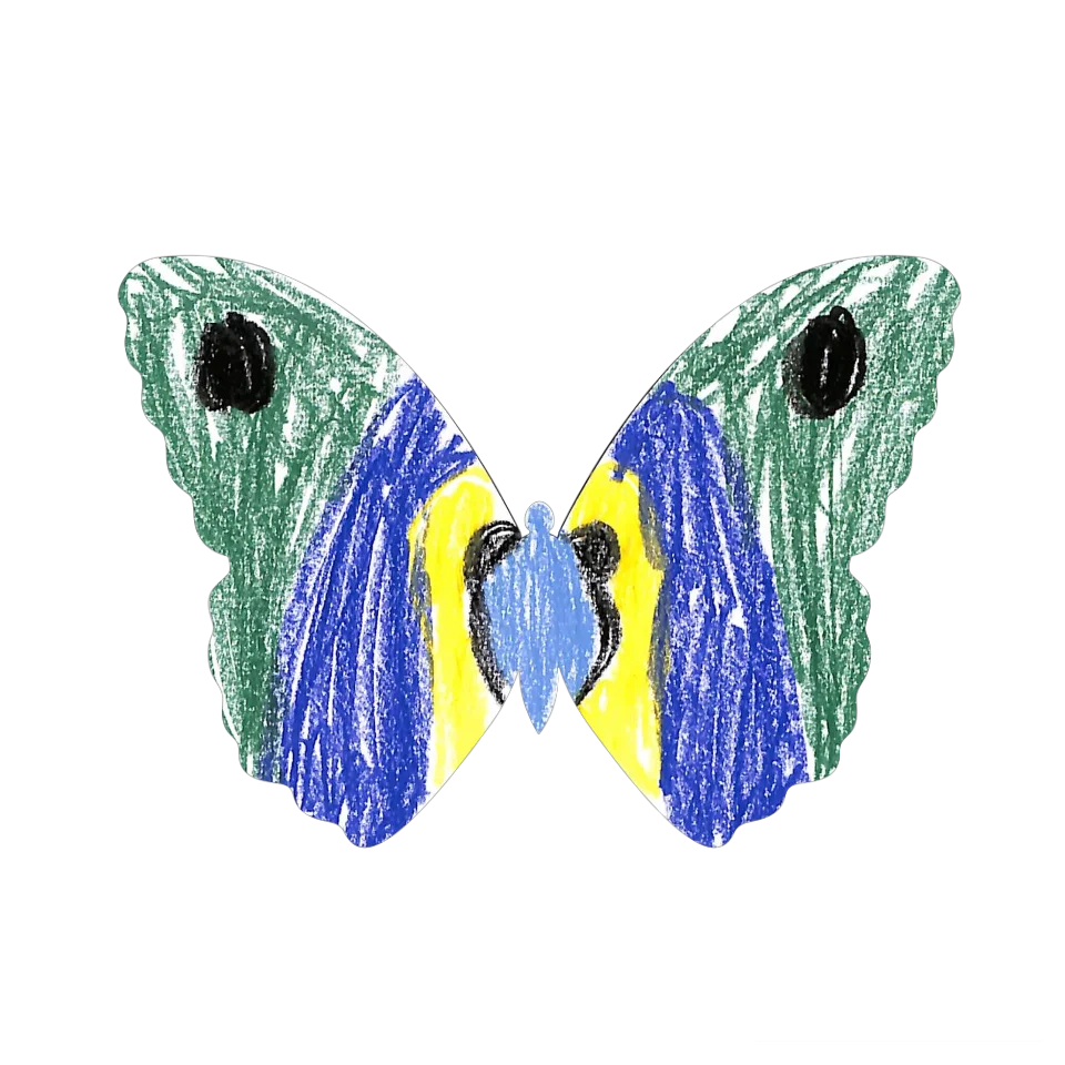 Original Butterfly Image