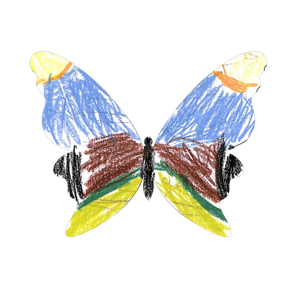 Original Butterfly Image