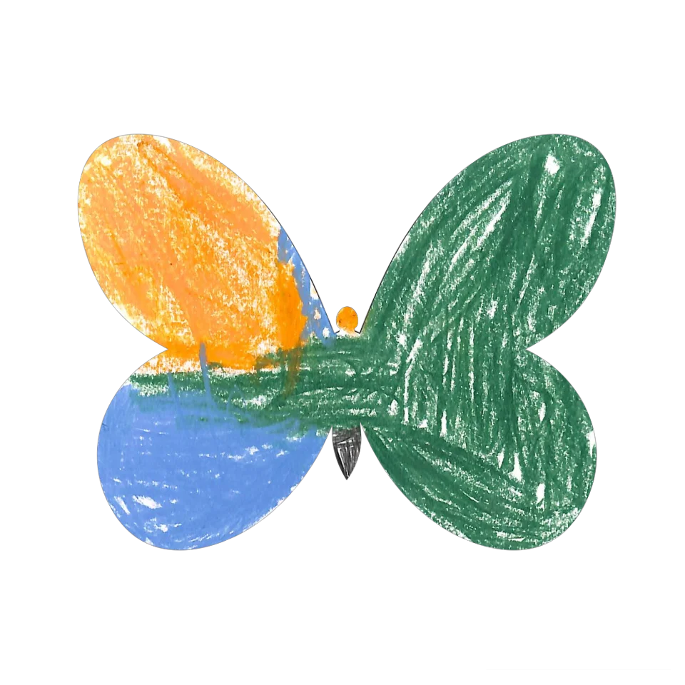 Original Butterfly Image