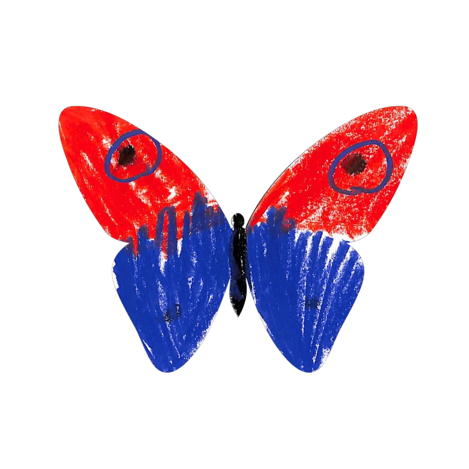 Original Butterfly Image