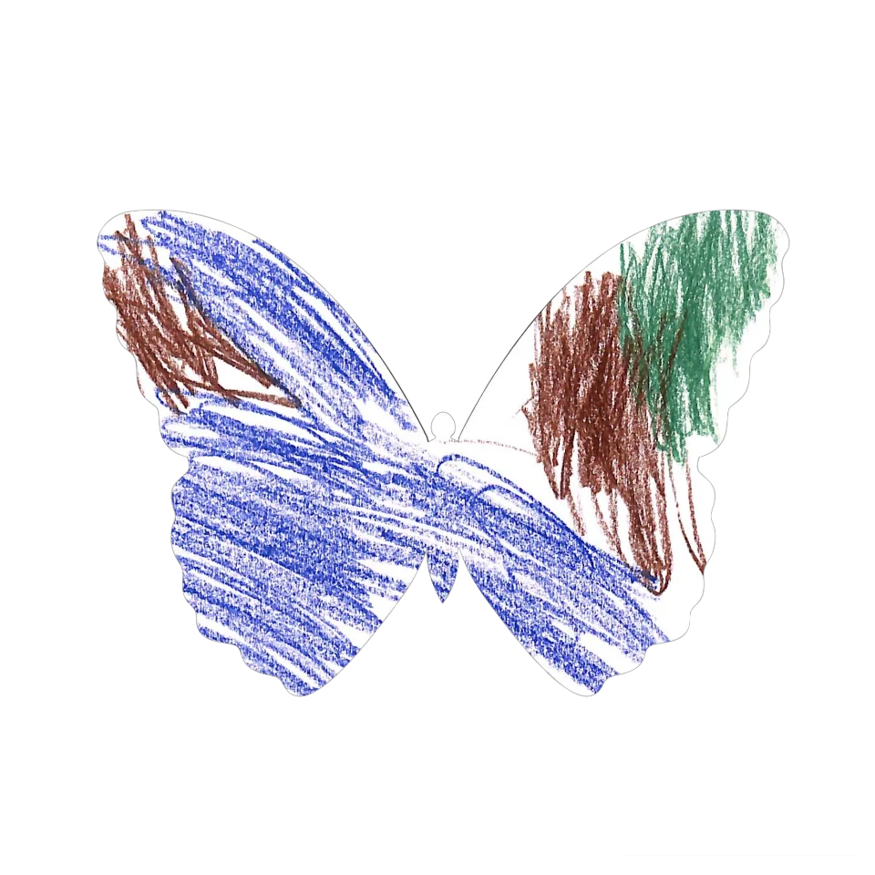 Original Butterfly Image