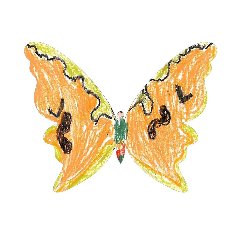 Original Butterfly Image