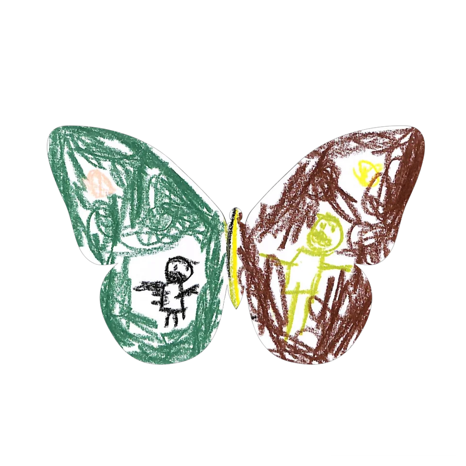 Original Butterfly Image