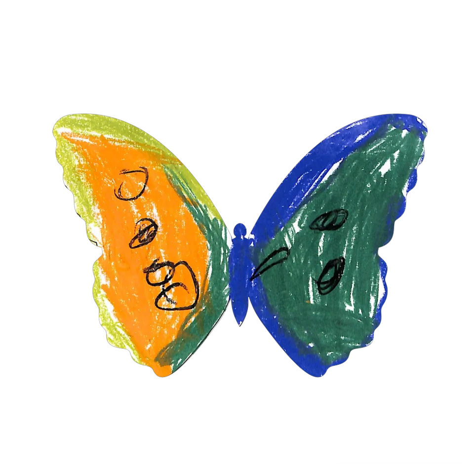 Original Butterfly Image