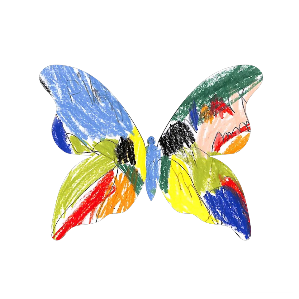 Original Butterfly Image