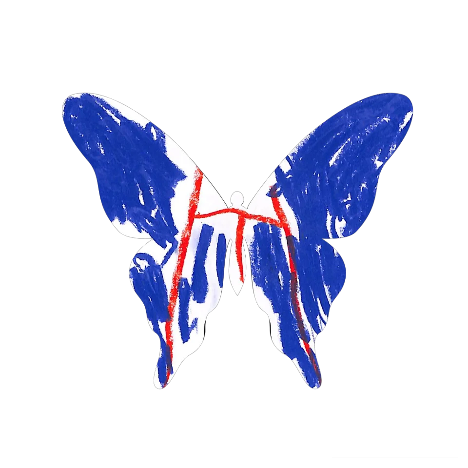 Original Butterfly Image