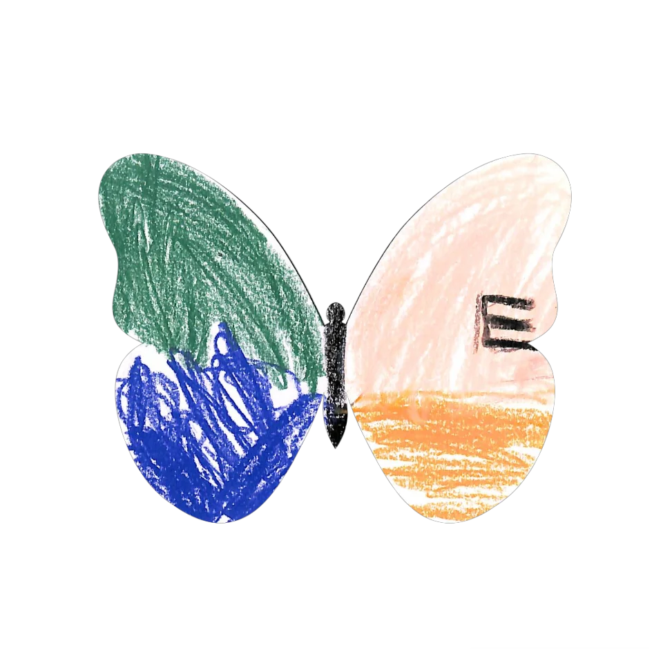 Original Butterfly Image