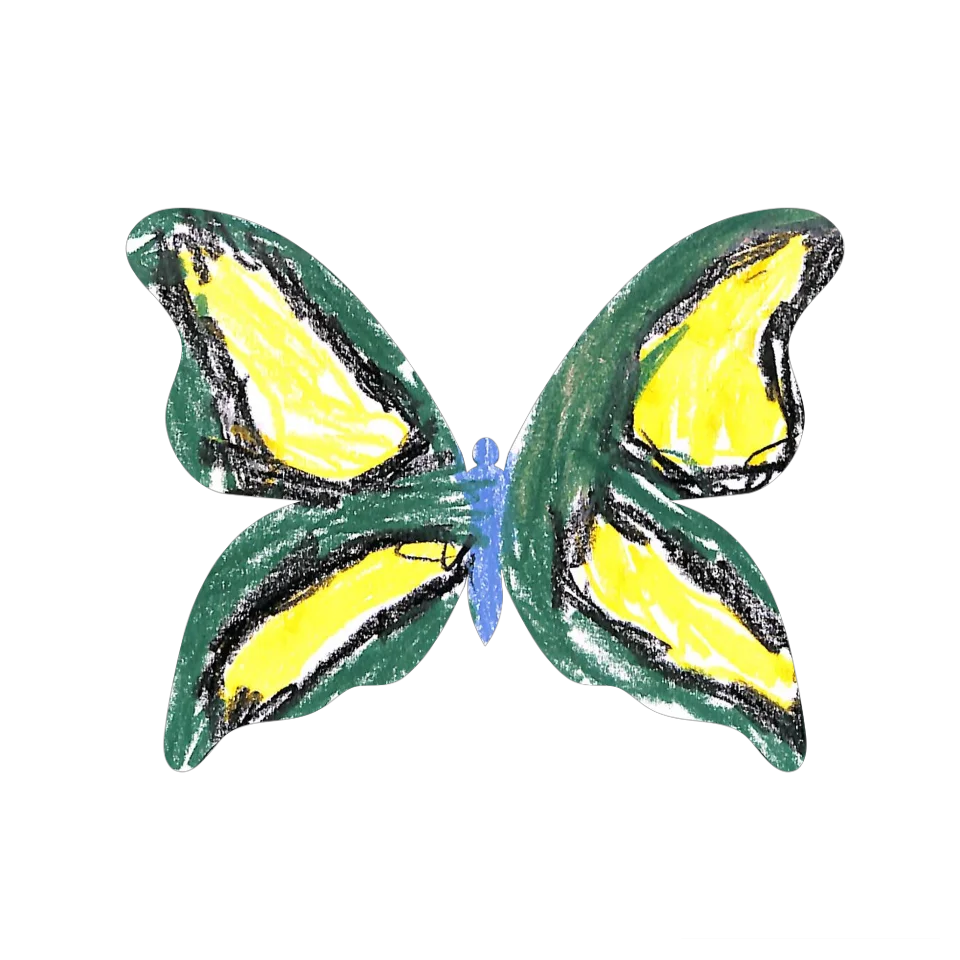 Original Butterfly Image