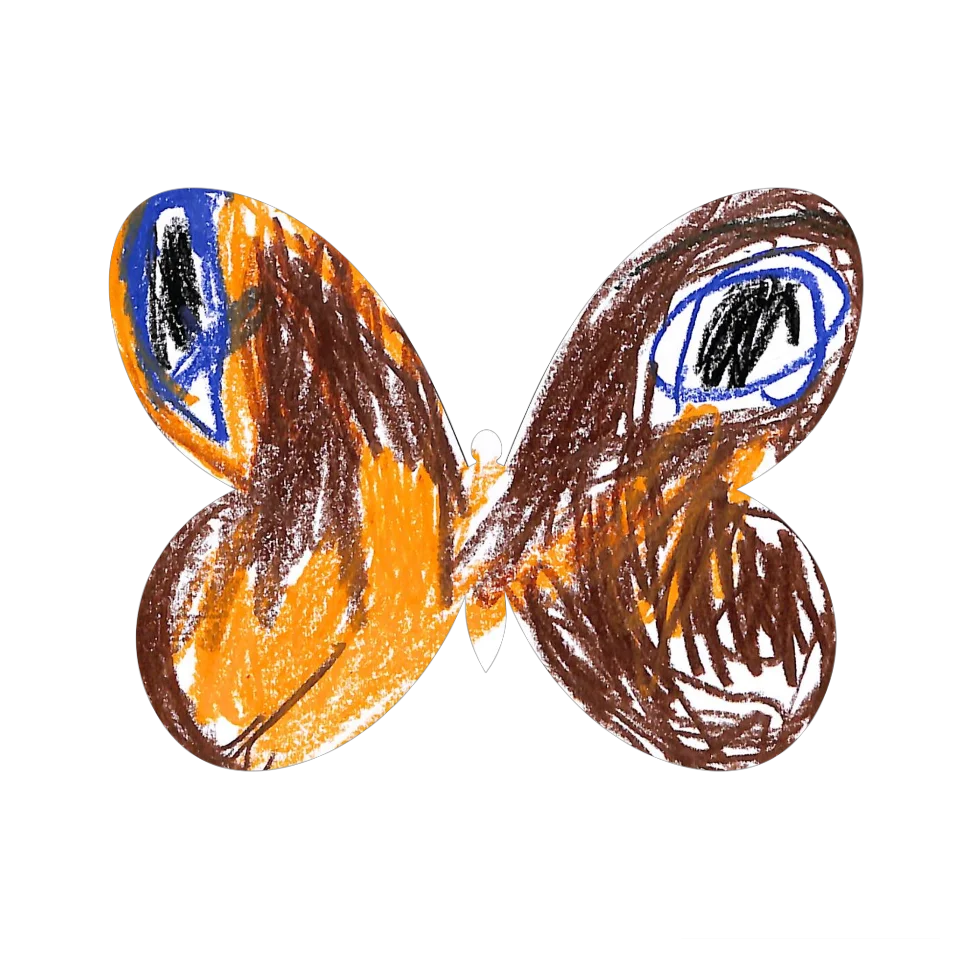 Original Butterfly Image