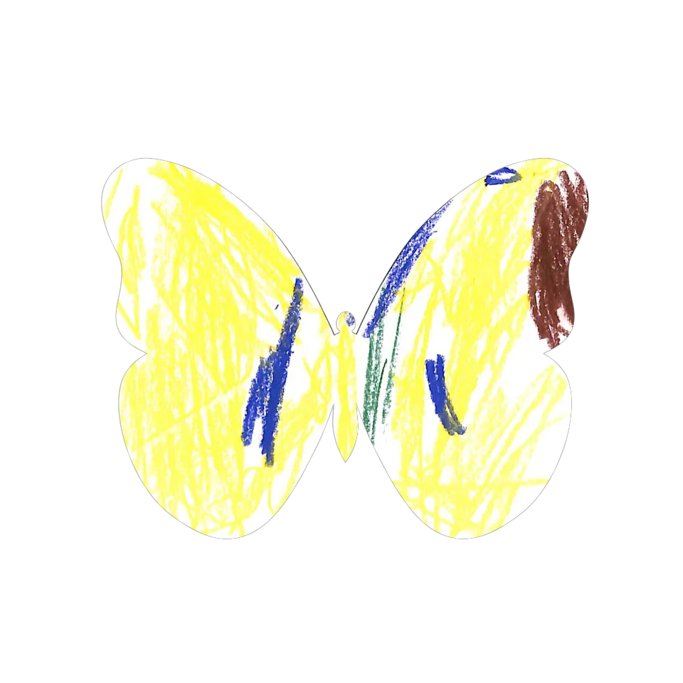 Original Butterfly Image