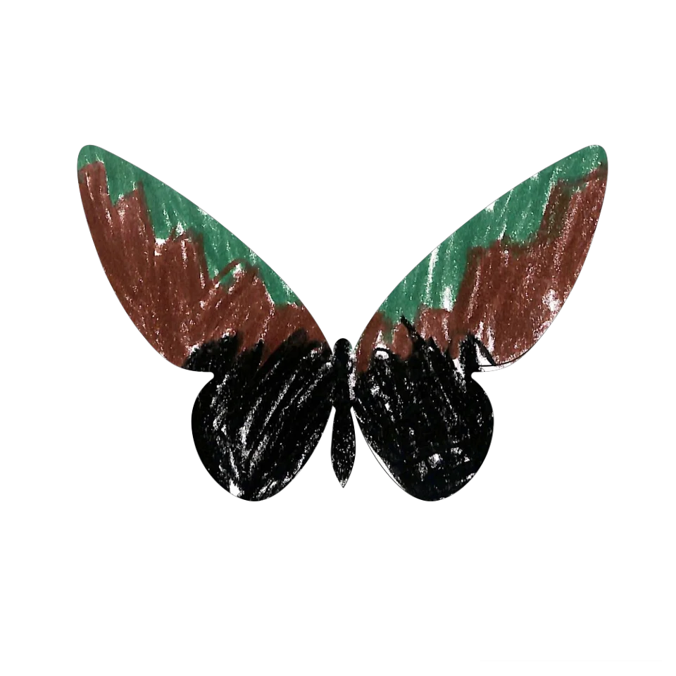 Original Butterfly Image