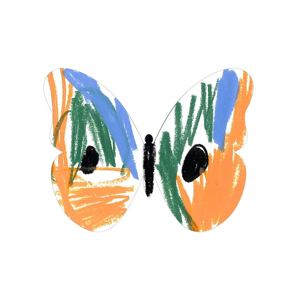 Original Butterfly Image