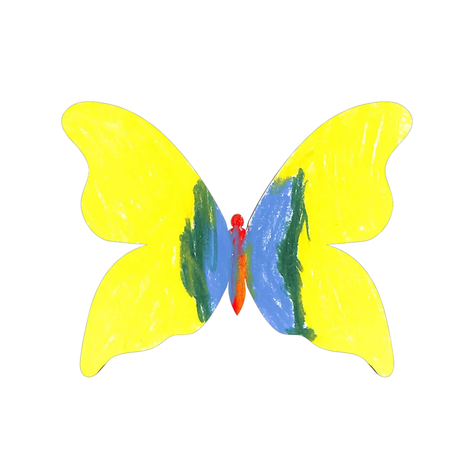Original Butterfly Image