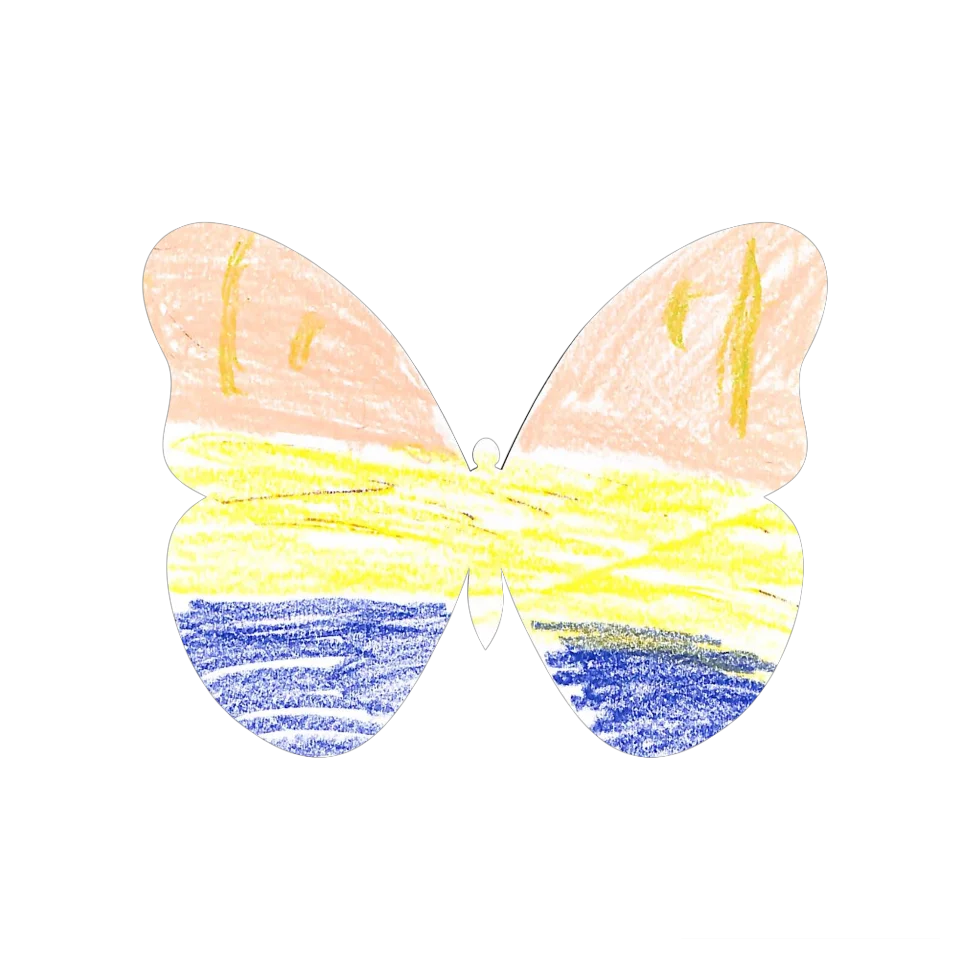 Original Butterfly Image