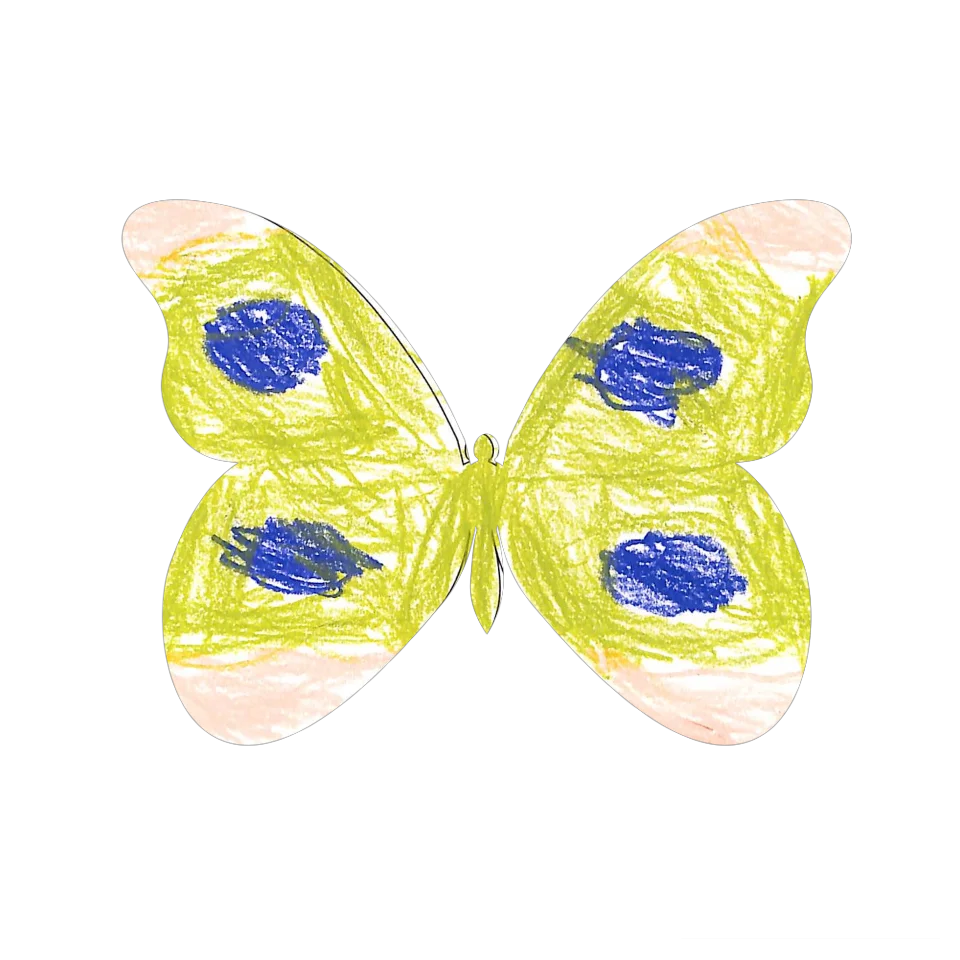 Original Butterfly Image