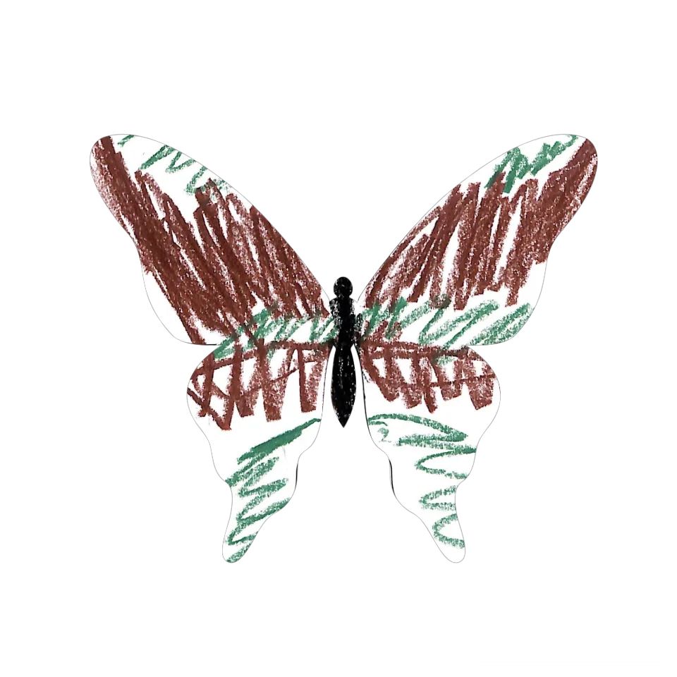 Original Butterfly Image