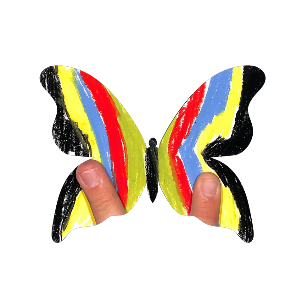 Original Butterfly Image