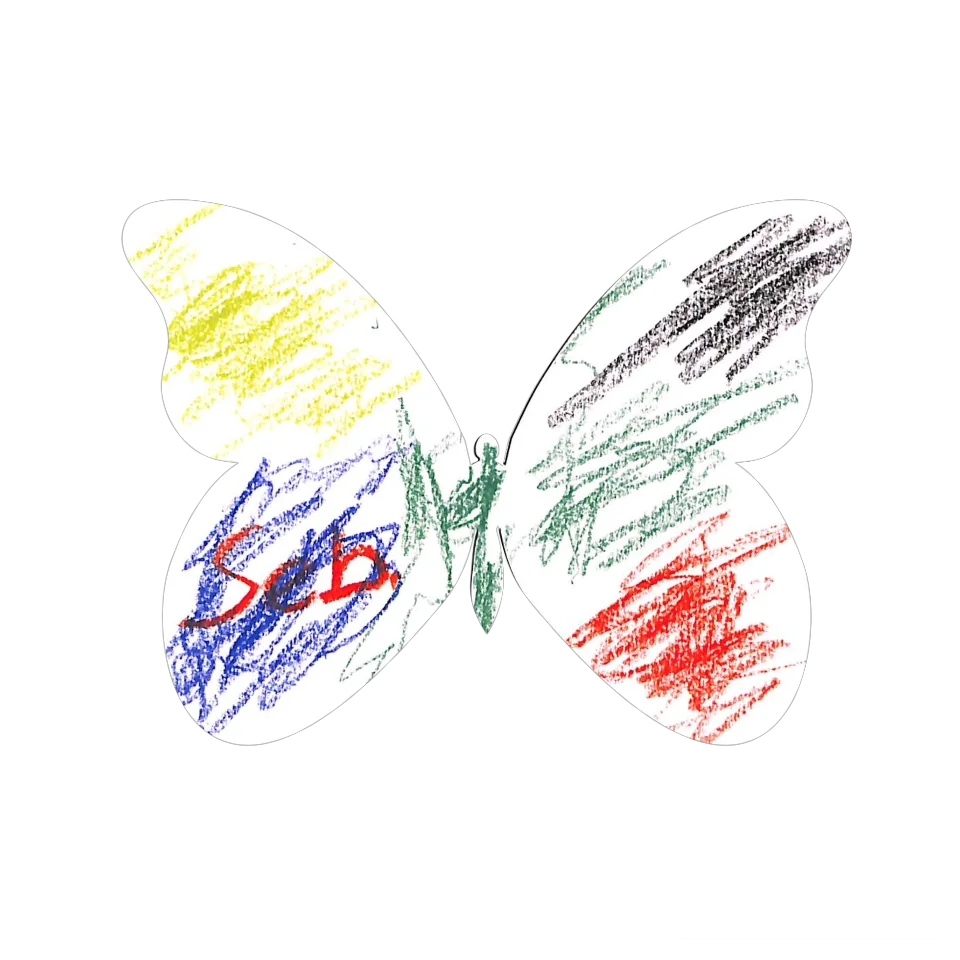 Original Butterfly Image