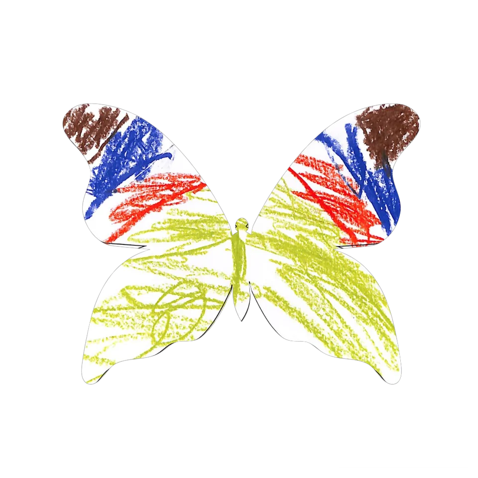 Original Butterfly Image