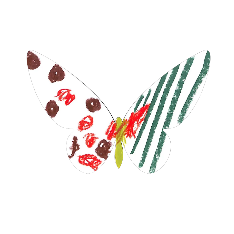 Original Butterfly Image