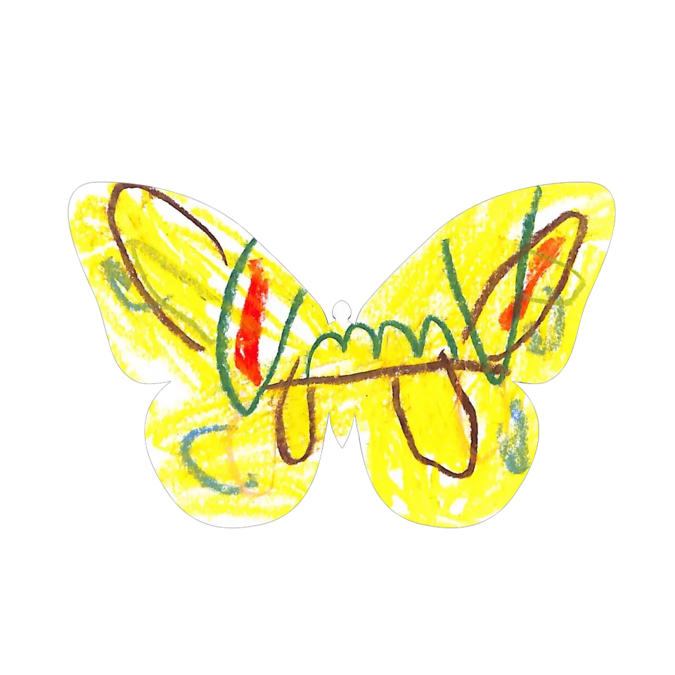 Original Butterfly Image