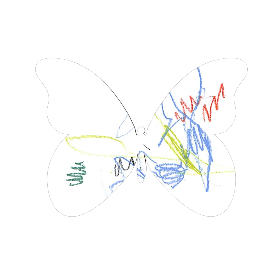 Original Butterfly Image