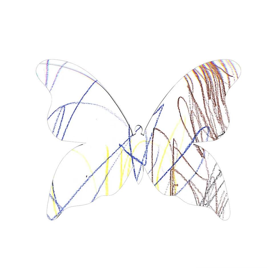 Original Butterfly Image