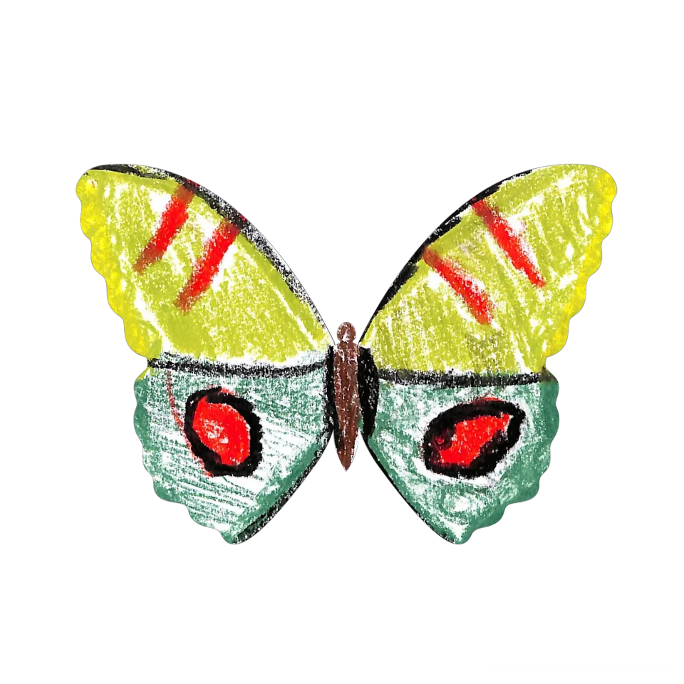 Original Butterfly Image