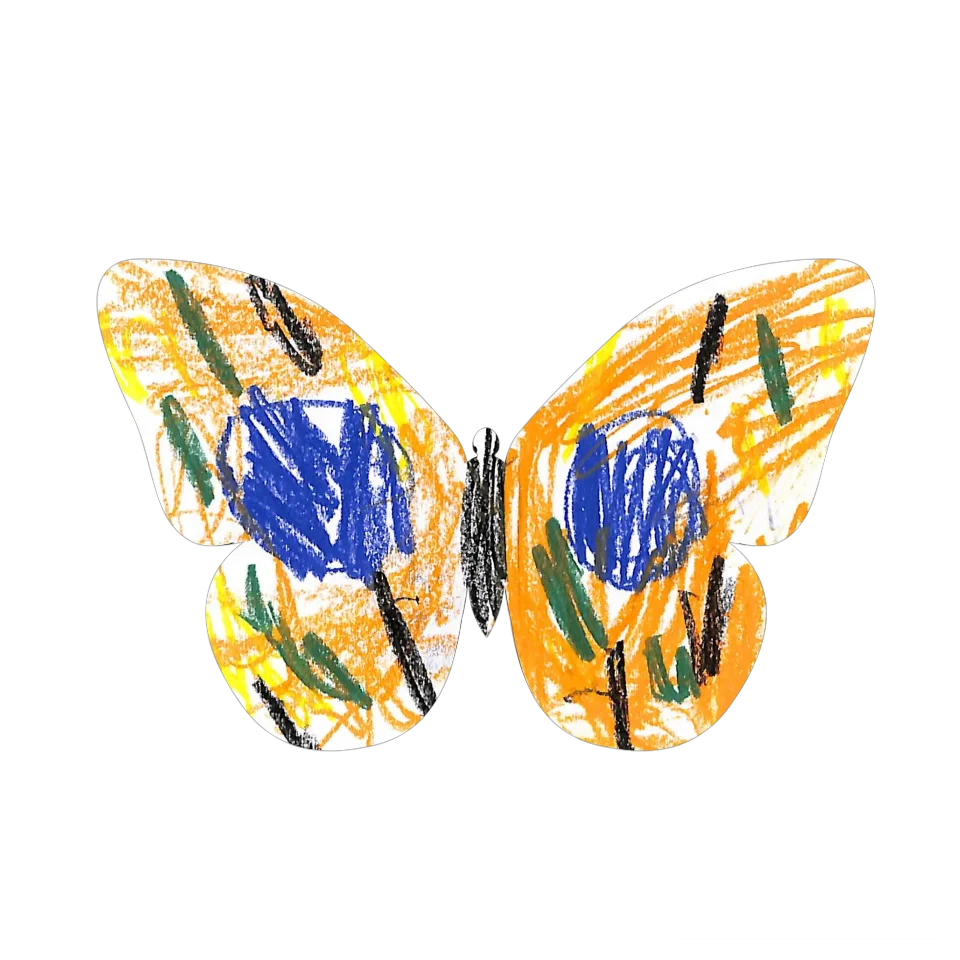 Original Butterfly Image