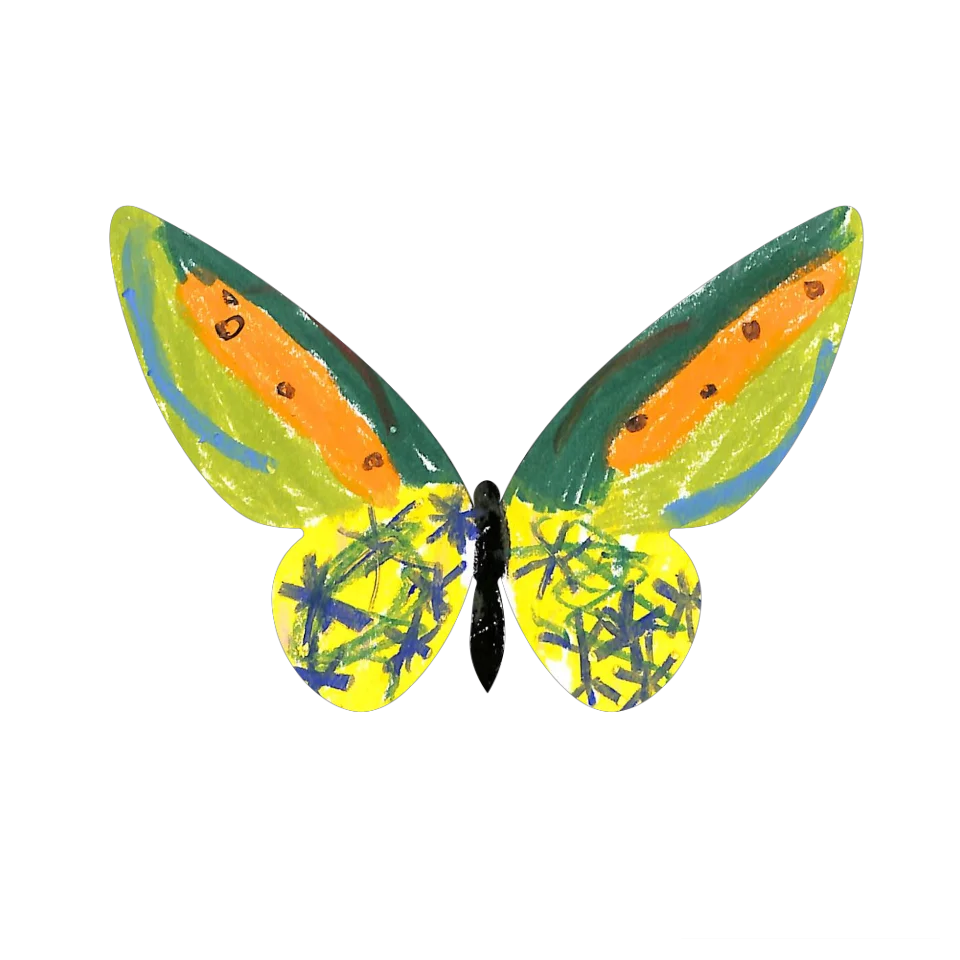 Original Butterfly Image