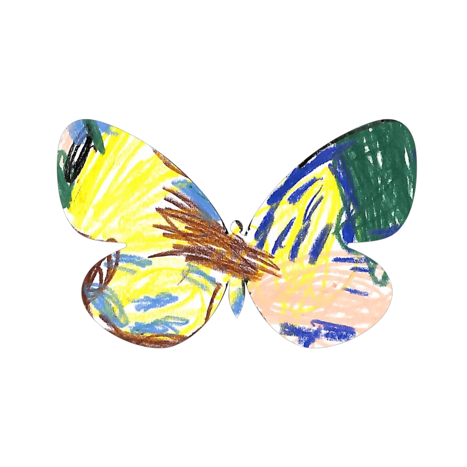 Original Butterfly Image