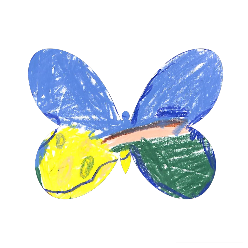 Original Butterfly Image