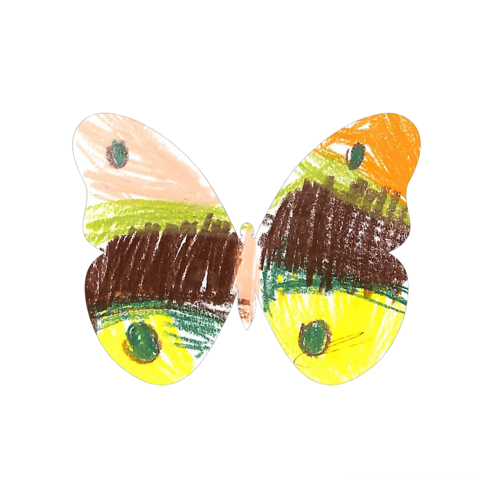 Original Butterfly Image