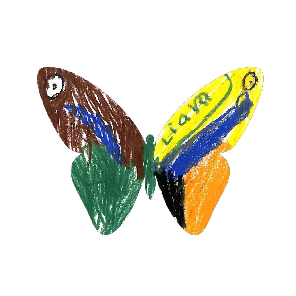Original Butterfly Image