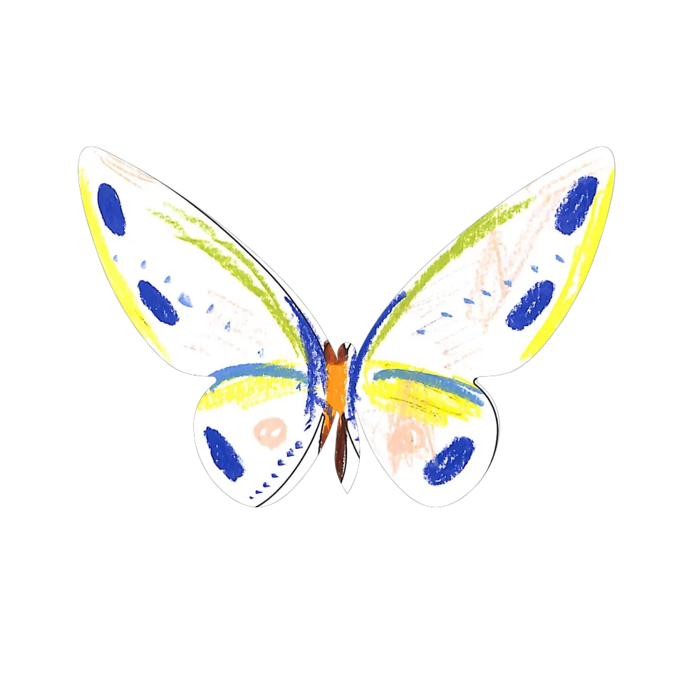 Original Butterfly Image