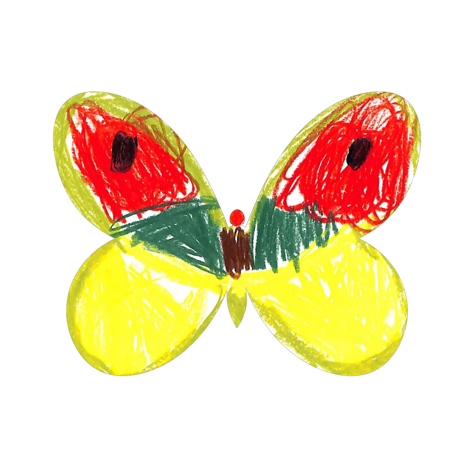 Original Butterfly Image