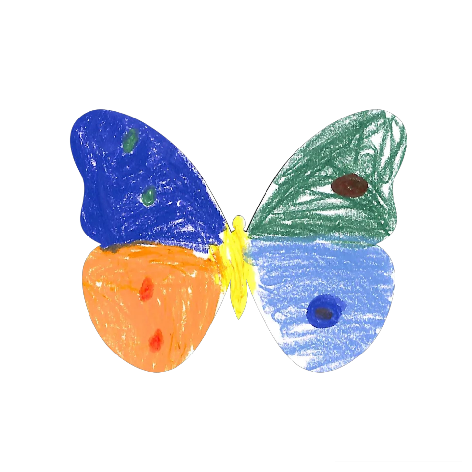 Original Butterfly Image