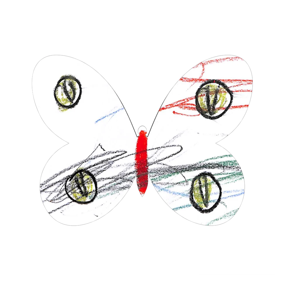 Original Butterfly Image