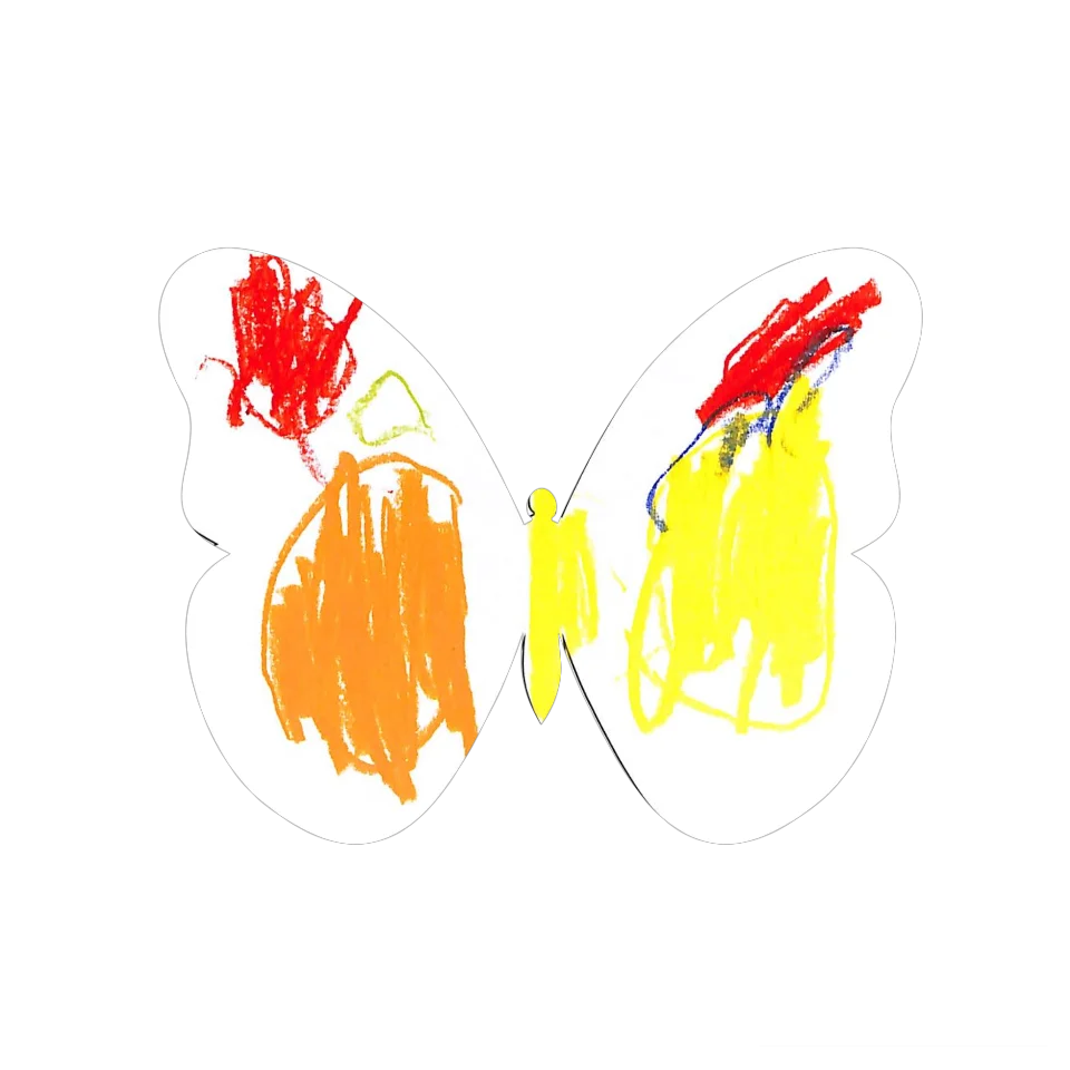 Original Butterfly Image