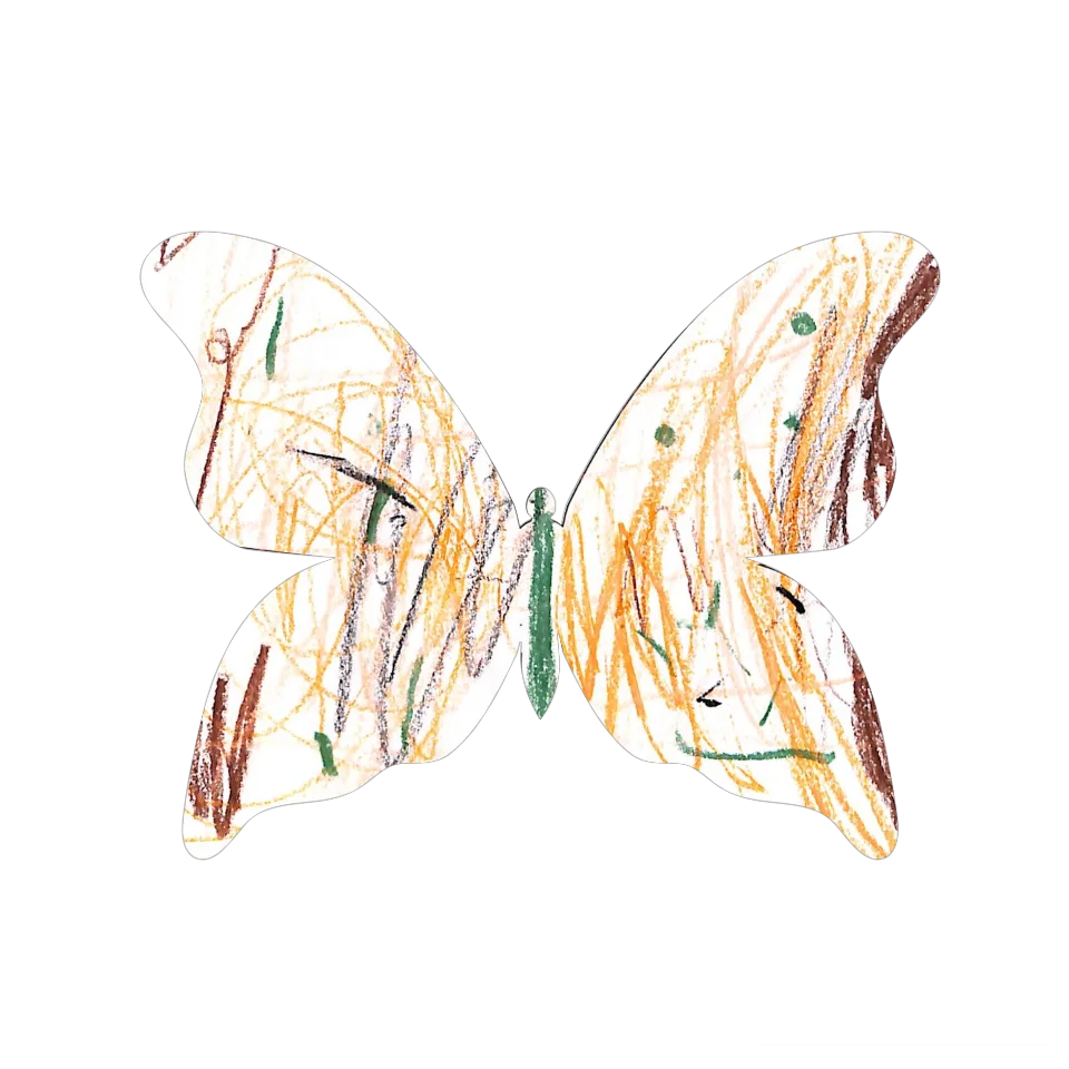 Original Butterfly Image