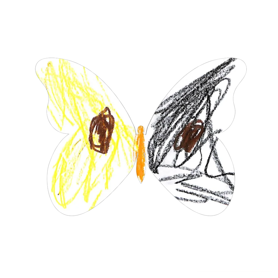 Original Butterfly Image